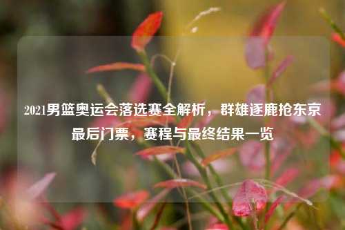 2021男篮奥运会落选赛全解析，群雄逐鹿抢东京最后门票，赛程与最终结果一览