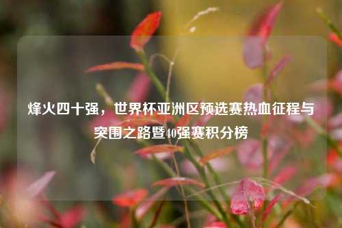 烽火四十强,世界杯亚洲区预选赛热血征程与突围之路暨40强赛积分榜