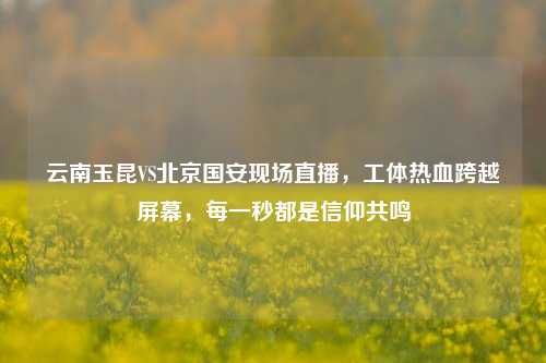 云南玉昆VS北京国安现场直播,工体热血跨越屏幕,每一秒都是信仰共鸣