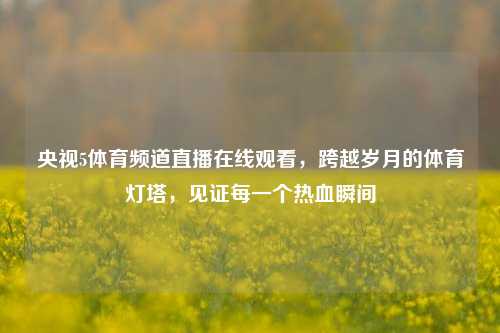央视5体育频道直播在线观看，跨越岁月的体育灯塔，见证每一个热血瞬间