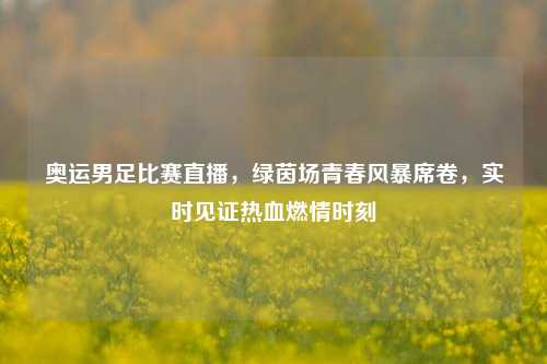 奥运男足比赛直播,绿茵场青春风暴席卷,实时见证热血燃情时刻