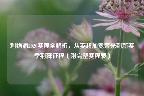 利物浦2020赛程全解析，从英超加冕荣光到新赛季荆棘征程（附完整赛程表）