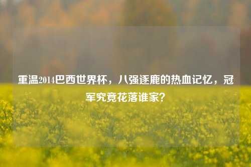重温2014巴西世界杯，八强逐鹿的热血记忆，冠军究竟花落谁家？