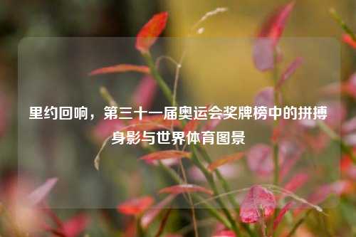 里约回响，第三十一届奥运会奖牌榜中的拼搏身影与世界体育图景