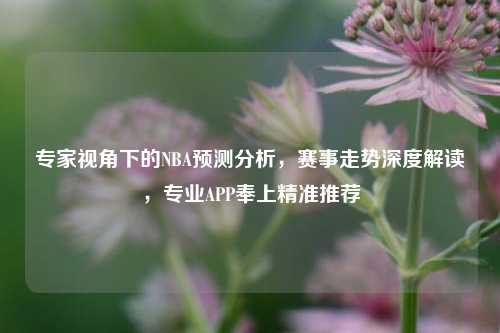 专家视角下的NBA预测分析，赛事走势深度解读，专业APP奉上精准推荐