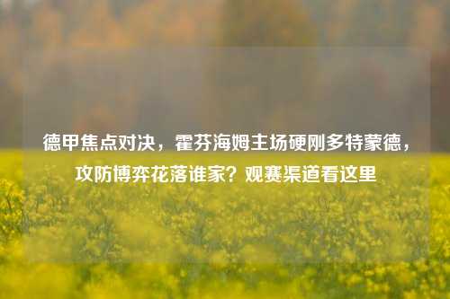 德甲焦点对决，霍芬海姆主场硬刚多特蒙德，攻防博弈花落谁家？观赛渠道看这里