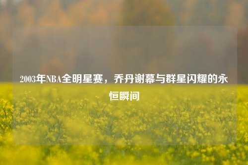 2003年NBA全明星赛，乔丹谢幕与群星闪耀的永恒瞬间