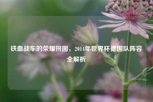 铁血战车的荣耀拼图，2014年世界杯德国队阵容全解析