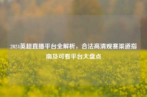 2024英超直播平台全解析，合法高清观赛渠道指南及可看平台大盘点