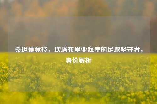 桑坦德竞技，坎塔布里亚海岸的足球坚守者，身价解析