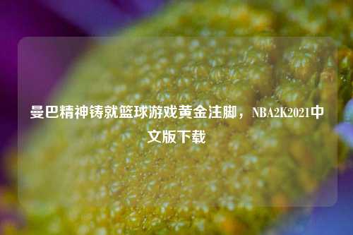 曼巴精神铸就篮球游戏黄金注脚，NBA2K2021中文版下载
