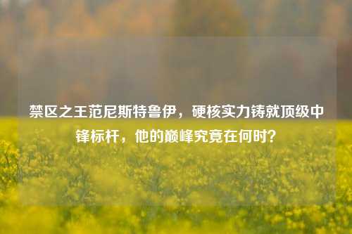 禁区之王范尼斯特鲁伊，硬核实力铸就顶级中锋标杆，他的巅峰究竟在何时？