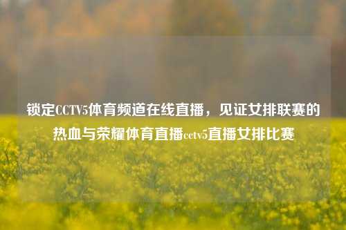 锁定CCTV5体育频道在线直播，见证女排联赛的热血与荣耀体育直播cctv5直播女排比赛
