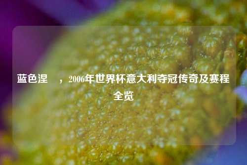 蓝色涅槃，2006年世界杯意大利夺冠传奇及赛程全览