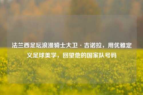 法兰西足坛浪漫骑士大卫·吉诺拉，用优雅定义足球美学，回望他的国家队号码