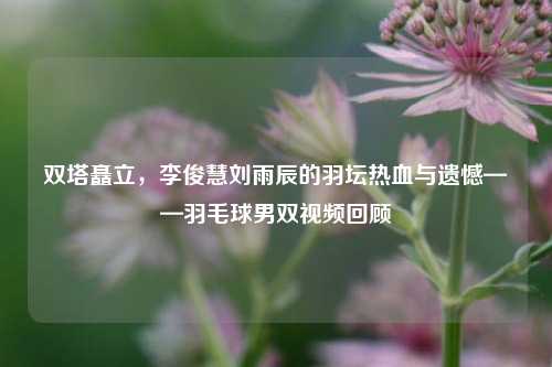 双塔矗立，李俊慧刘雨辰的羽坛热血与遗憾——羽毛球男双视频回顾