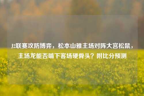 J2联赛攻防博弈，松本山雅主场对阵大宫松鼠，主场龙能否啃下客场硬骨头？附比分预测