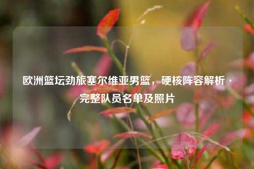 欧洲篮坛劲旅塞尔维亚男篮,硬核阵容解析·完整队员名单及照片
