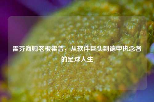 霍芬海姆老板霍普，从软件巨头到德甲执念者的足球人生
