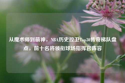 从魔术师到萌神，NBA历史控卫Top30传奇梯队盘点，前十名将领衔球场指挥官阵容