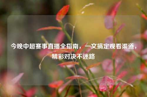 今晚中超赛事直播全指南,一文搞定观看渠道,精彩对决不迷路