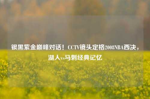 银黑紫金巅峰对话！CCTV镜头定格2008NBA西决，湖人vs马刺经典记忆