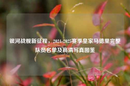 银河战舰新征程,2024-2025赛季皇家马德里完整队员名单及高清写真图鉴