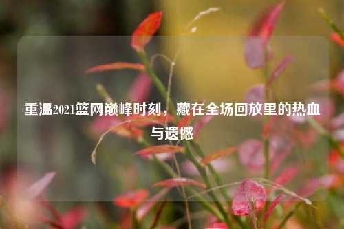 重温2021篮网巅峰时刻,藏在全场回放里的热血与遗憾