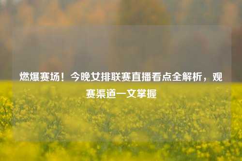 燃爆赛场!今晚女排联赛直播看点全解析,观赛渠道一文掌握