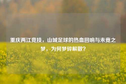 重庆两江竞技，山城足球的热血回响与未竟之梦，为何梦碎解散？