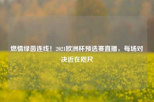 燃情绿茵连线!2021欧洲杯预选赛直播,每场对决近在咫尺