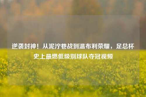 逆袭封神！从泥泞巷战到温布利荣耀，足总杯史上最燃低级别球队夺冠视频