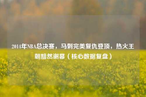 2014年NBA总决赛，马刺完美复仇登顶，热火王朝黯然谢幕（核心数据复盘）