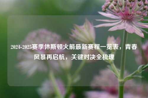 2024-2025赛季休斯顿火箭最新赛程一览表，青春风暴再启航，关键对决全梳理