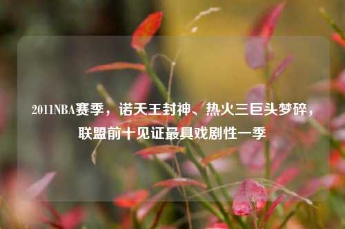 2011NBA赛季，诺天王封神、热火三巨头梦碎，联盟前十见证最具戏剧性一季