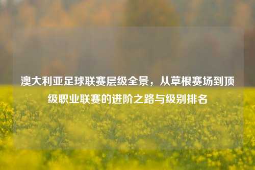 澳大利亚足球联赛层级全景，从草根赛场到顶级职业联赛的进阶之路与级别排名