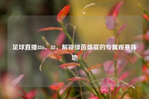 足球直播886、88,解锁绿茵盛宴的专属观赛阵地
