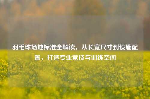羽毛球场地标准全解读，从长宽尺寸到设施配置，打造专业竞技与训练空间