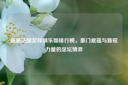 最新法国足球俱乐部排行榜，豪门底蕴与新锐力量的足坛博弈