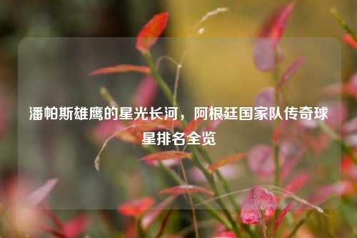 潘帕斯雄鹰的星光长河，阿根廷国家队传奇球星排名全览