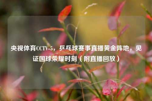央视体育CCTV-5，乒乓球赛事直播黄金阵地，见证国球荣耀时刻（附直播回放）