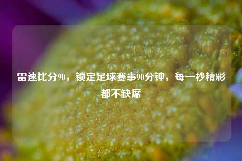 雷速比分90,锁定足球赛事90分钟,每一秒精彩都不缺席