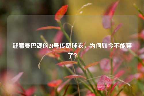 缝着曼巴魂的24号传奇球衣，为何如今不能穿了？
