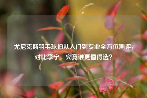 尤尼克斯羽毛球拍从入门到专业全方位测评，对比李宁，究竟谁更值得选？