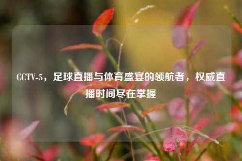 CCTV-5,足球直播与体育盛宴的领航者,权威直播时间尽在掌握