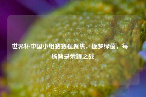 世界杯中国小组赛赛程聚焦，逐梦绿茵，每一场皆是荣耀之战