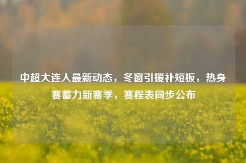 中超大连人最新动态,冬窗引援补短板,热身赛蓄力新赛季,赛程表同步公布