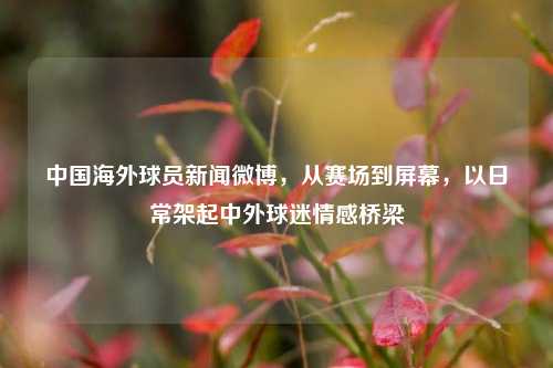 中国海外球员新闻微博，从赛场到屏幕，以日常架起中外球迷情感桥梁