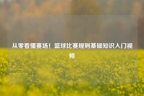 从零看懂赛场！篮球比赛规则基础知识入门视频