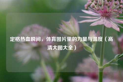 定格热血瞬间,体育图片里的力量与温度(高清大图大全)